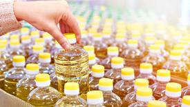 Россия стала крупнейшим поставщиком подсолнечного масла